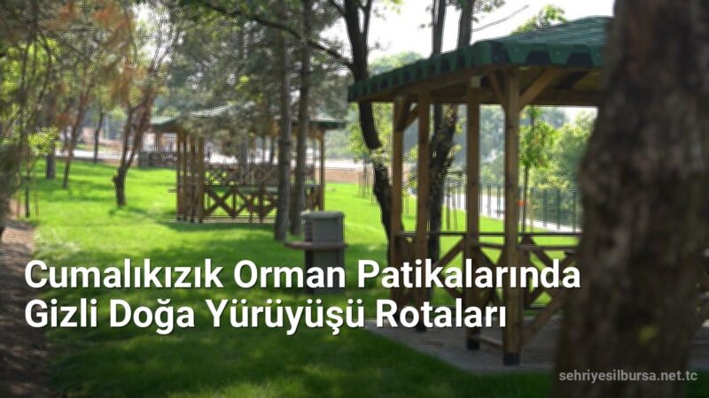 Cumalıkızık Orman Patikalarında Gizli Doğa Yürüyüşü Rotaları - sehriyesilbursa.net.tc