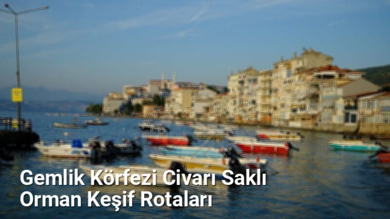 Gemlik Körfezi Civarı Saklı Orman Keşif Rotaları - sehriyesilbursa.net.tc