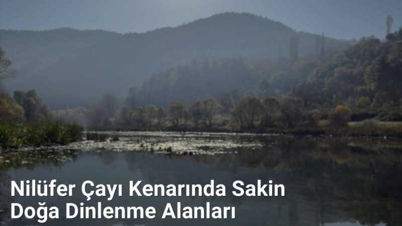 Nilüfer Çayı Kenarında Sakin Doğa Dinlenme Alanları - sehriyesilbursa.net.tc