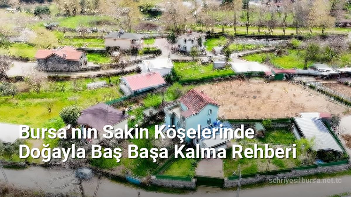 Bursa’nın Sakin Köşelerinde Doğayla Baş Başa Kalma Rehberi - sehriyesilbursa.net.tc