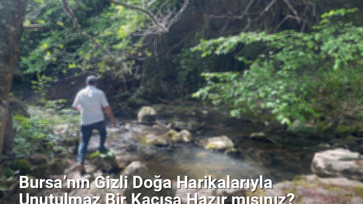 Bursa’nın Gizli Doğa Harikalarıyla Unutulmaz Bir Kaçışa Hazır mısınız? - sehriyesilbursa.net.tc