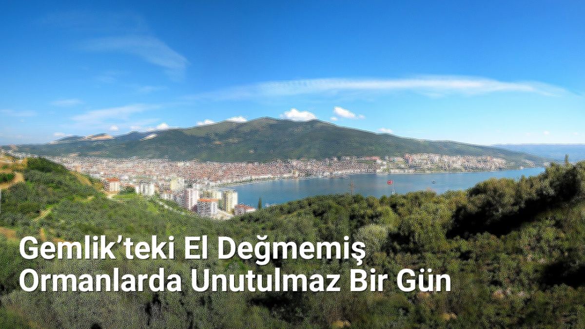 Gemlik’teki El Değmemiş Ormanlarda Unutulmaz Bir Gün - sehriyesilbursa.net.tc