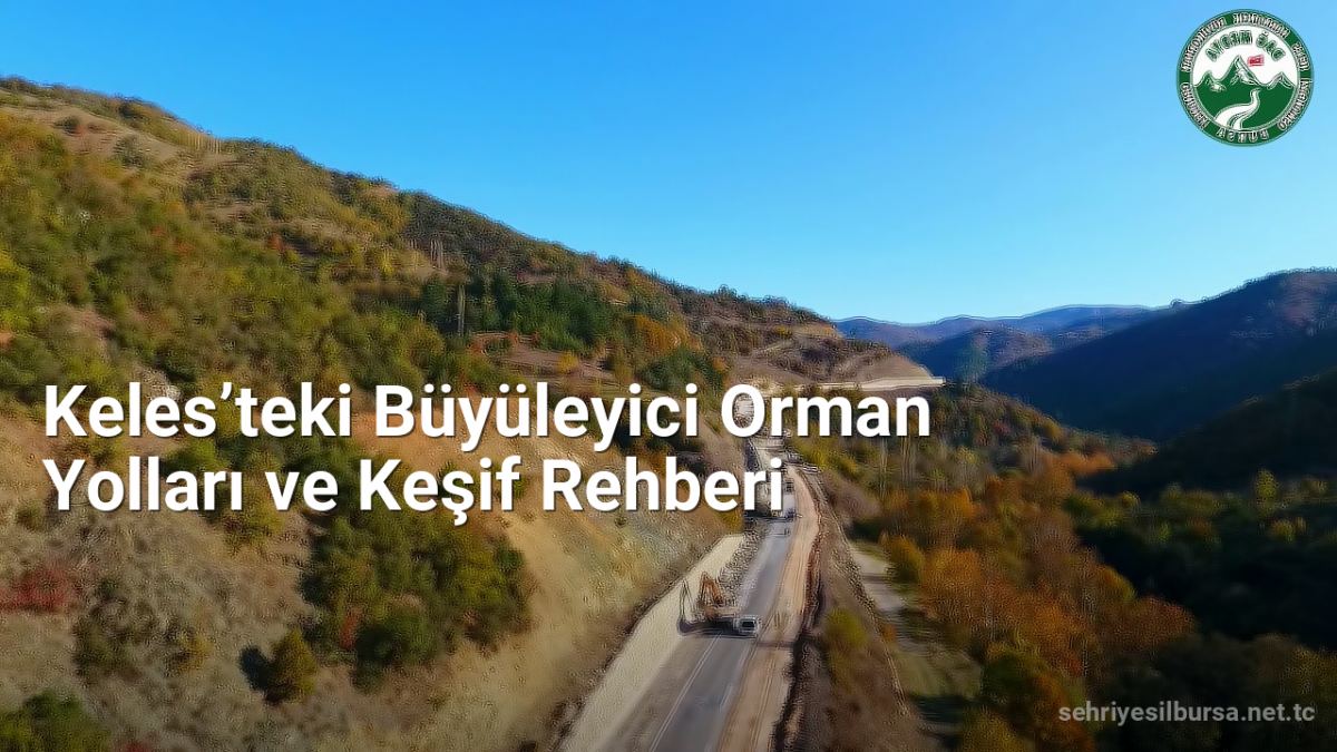 Keles’teki Büyüleyici Orman Yolları ve Keşif Rehberi - sehriyesilbursa.net.tc